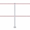Afzetpaaltje met dubbel koord, te bevestigen (zilver) - LINE FIX DUAL Afzetpaaltje met dubbel koord, te bevestigen (zilver) - LINE FIX DUAL