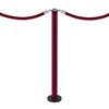 Poteau bordeaux a visser au sol DESIGN FIX